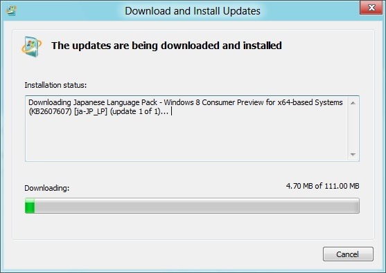 Windows 8 Language Pack X64